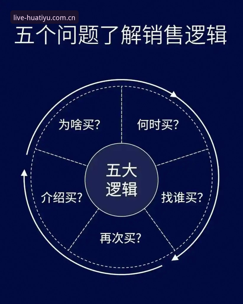 3个细节看懂华体育最新官网登录中文官方站CN站：比分数背后的逻辑更值得关注